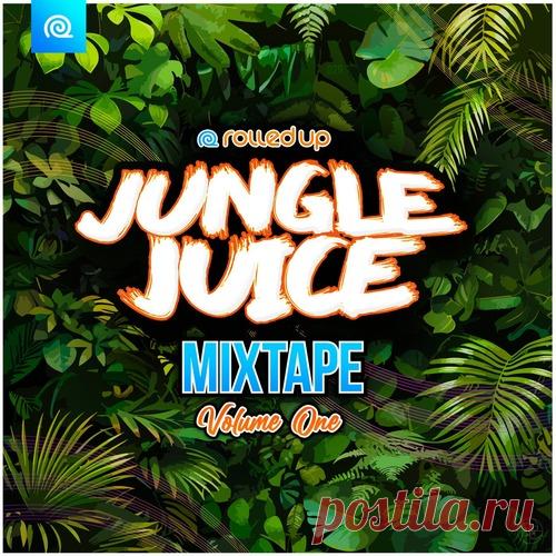 Download VA - Jungle Juice Mixtape, Vol. 1 - Musicvibez Label Rolled Up Records Styles Drum & Bass Jungle Date 2024-05-29 Catalog # CAT1060666 Length 48:55 Tracks 11