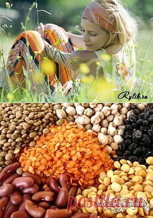 Список наиболее белковосодержащих вегетарианских продуктов (в порядке убывания единиц белка г/100 г, мл): | Женский журнал