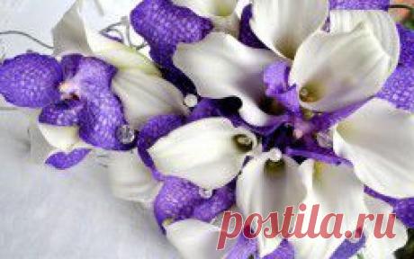 Цветы - обои на рабочий стол.