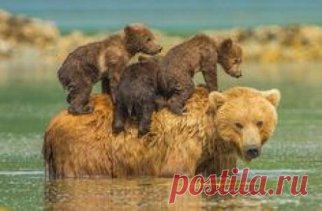 Pinterest • Всемирный каталог идей