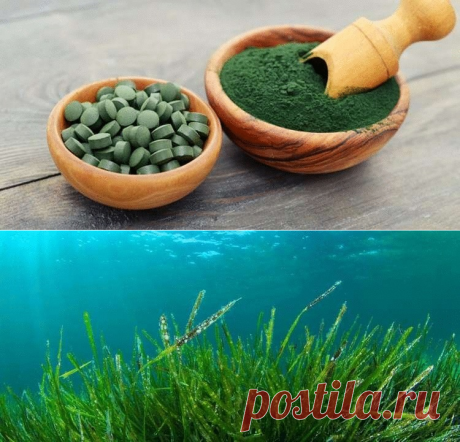 9 болезней, с которыми может расправиться 1 упаковка этих таблеток &amp;#8212; Жизнь под Лампой!