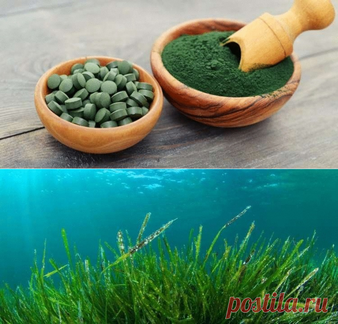 9 болезней, с которыми может расправиться 1 упаковка этих таблеток &#8212; Жизнь под Лампой!