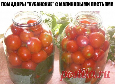Помидоры "Кубанские" с малиновыми листьями 

Помидоры получаются очень вкусными и хорошо держат свою форму! 
Малиновые листья придают особенный вкус и, кроме того, содержащаяся в них ацетилсалициловая кислота не допускает брожения. 

ИНГРЕДИЕНТЫ: 
На одну 3-х литровую банку: 
помидоры (небольшие) около 2 кг; 
3 пятипалых малиновых листочка; 
5-8 зубчиков чеснока; 
2 столовых ложки соли; 
5 столовых ложек сахара; 
1 столовая ложка 9% уксуса.