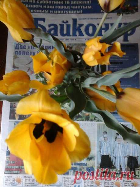 Новости