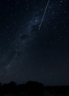 1379305652_007-ellf.ru.gif (500×700)