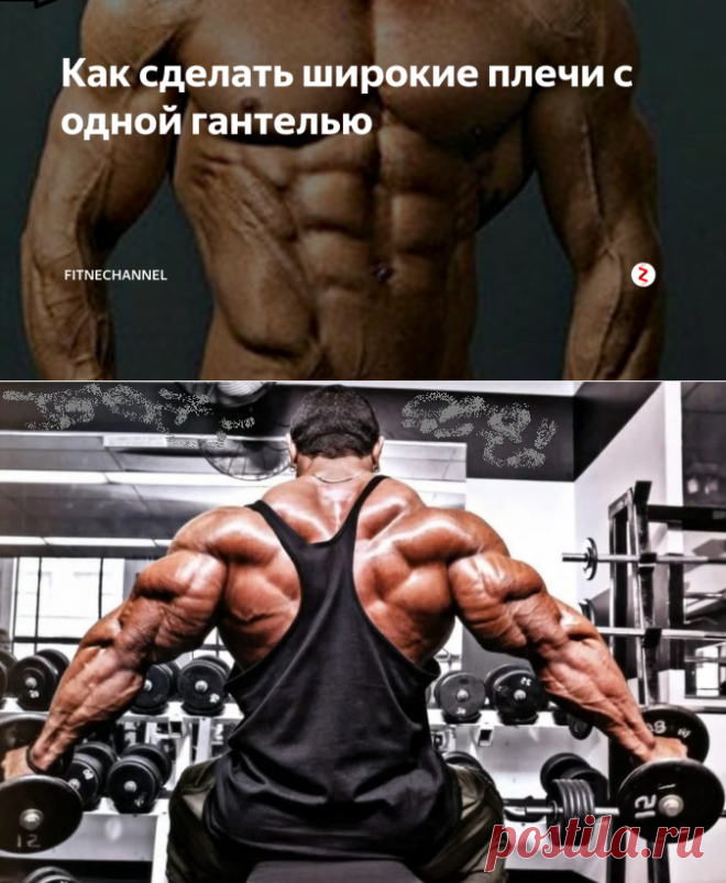 Как сделать широкие плечи с одной гантелью | fitnechannel | Яндекс Дзен