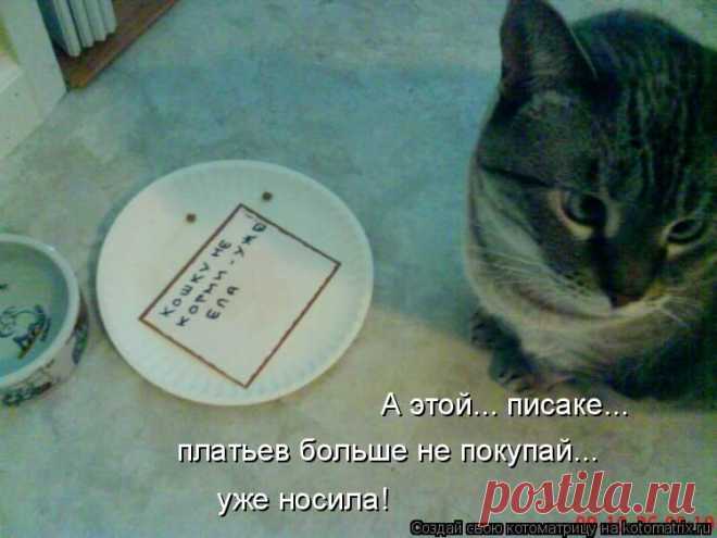 Котоматрица: Круть