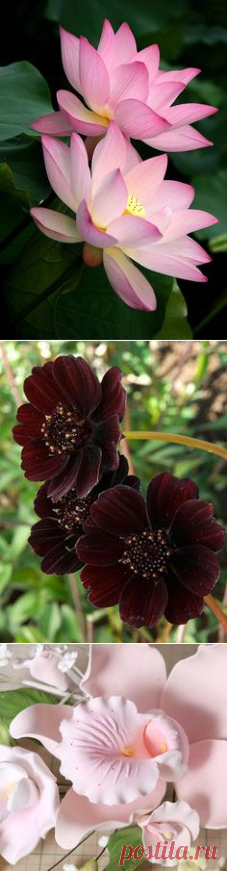 (753) Pinterest • Всемирный каталог идей