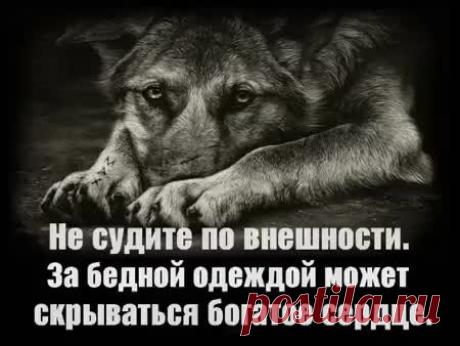 Интересные новости