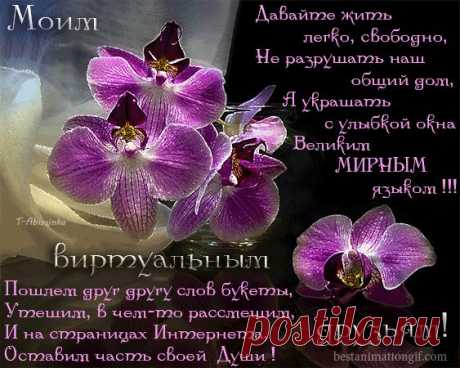 * * * * * * * * * * *