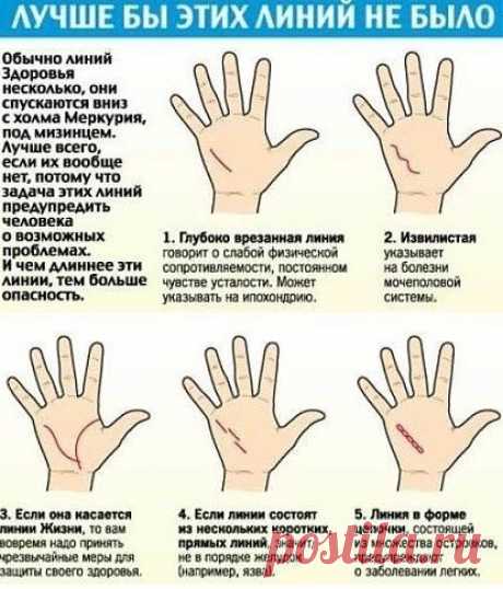 КАК ЧИТАТЬ ЛИНИИ НА РУКАХ
Немного о том, что мы и как можем прочитать по нашей руке благодаря хиромантии. Другими словами - как гадать по руке и с чего начать :) 
1. Определите ту руку, какую необходимо изучать.
В хиромантии существуют понятия «активная рука» и «пассивная рука». Активная рука – это чаще всего та рука, которой вы пишете, соответственно пассивная – другая. Пассивная рука отвечает за наследственные признаки, за то, что в вас заложено генетически, а активная –...