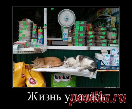 Отличные демотиваторы / Писец - приколы интернета