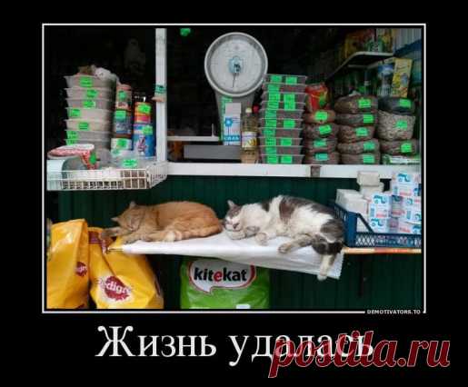 Отличные демотиваторы / Писец - приколы интернета