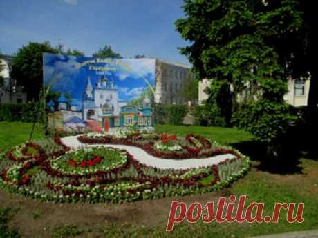 Светлана Болотова