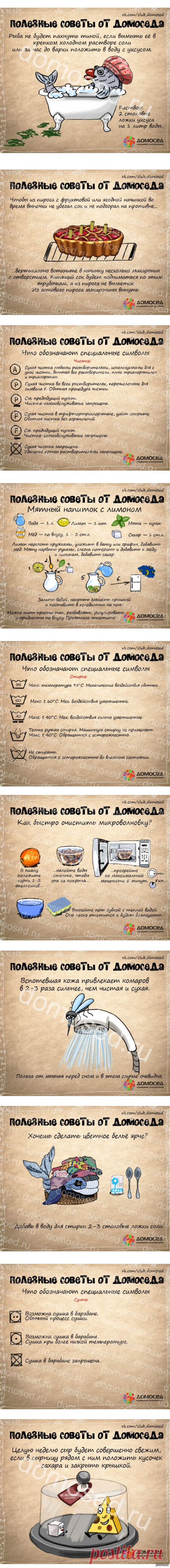 Полезные советы » СВЯТОРУС