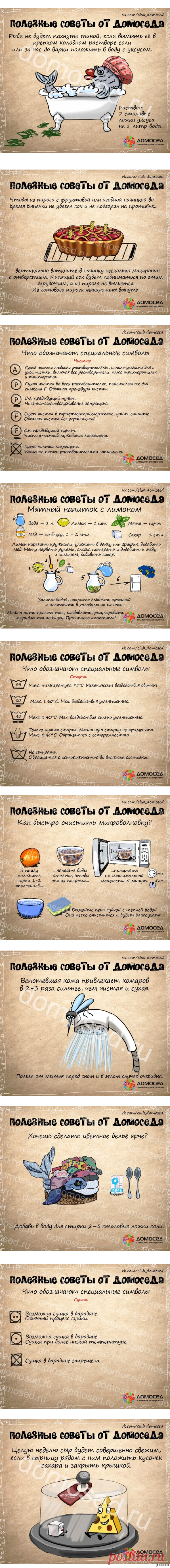 Полезные советы » СВЯТОРУС