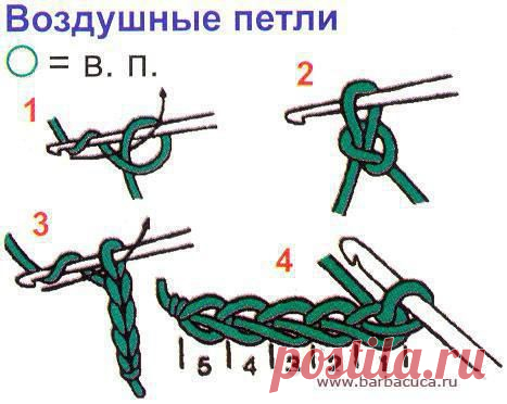 Цветы | Записи в рубрике Цветы | Дневник Macyutka
