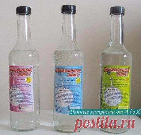 НАШАТЫРНЫЙ СПИРТ ПРОТИВ НАСЕКОМЫХ