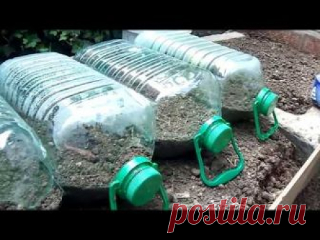 Huerta en casa y sugerencias.. mini invernadero para almazigos de vegetales