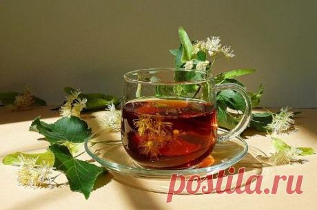 Как применять липу для похудения — Диеты со всего света