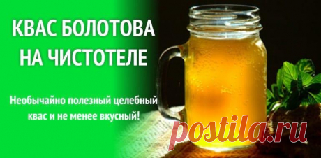 Домашний квас на чистотеле Болотова: секреты приготовления Квас Болотова на чистотеле получен в результате ферментации растений молочной сывороткой с добавлением сахара. Мы расскажем все секреты готовки.