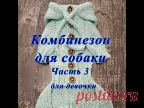 Комбинезон для собаки спицами, Часть3