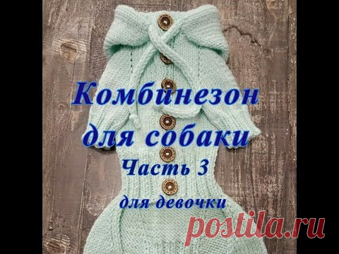Комбинезон для собаки спицами, Часть3