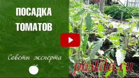 (1) Одноклассники