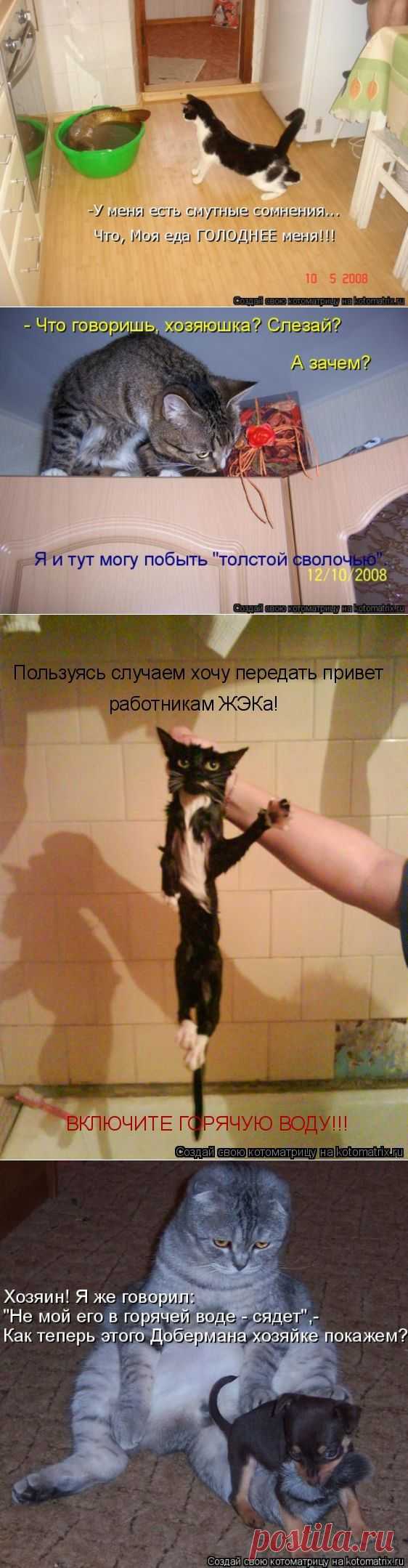 ХОРОШЕГО НАСТРОЕНИЯ!!!