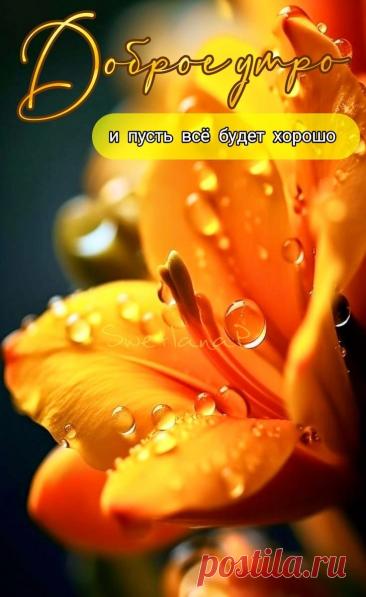 С добрым утром Привет Здрасте