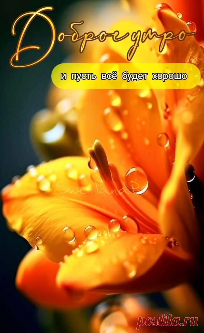 С добрым утром Привет Здрасте