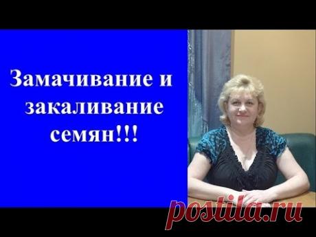 Замачивание и закаливание семян В МОЧАЛКАХ (ГУБКАХ)!