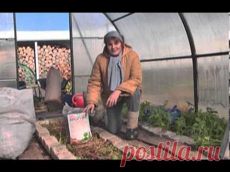 Дачные советы 24.10.2013 | Самарское губернское телевидение