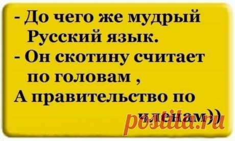 Русский язык
