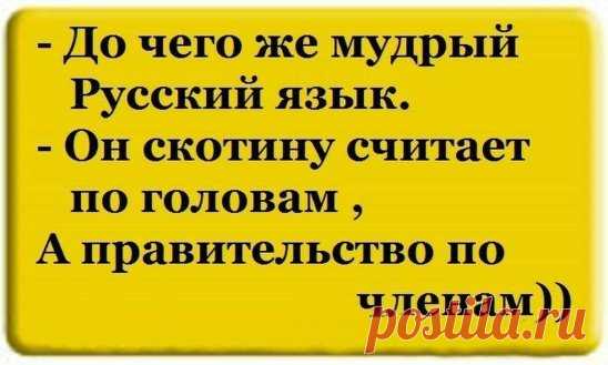 Русский язык