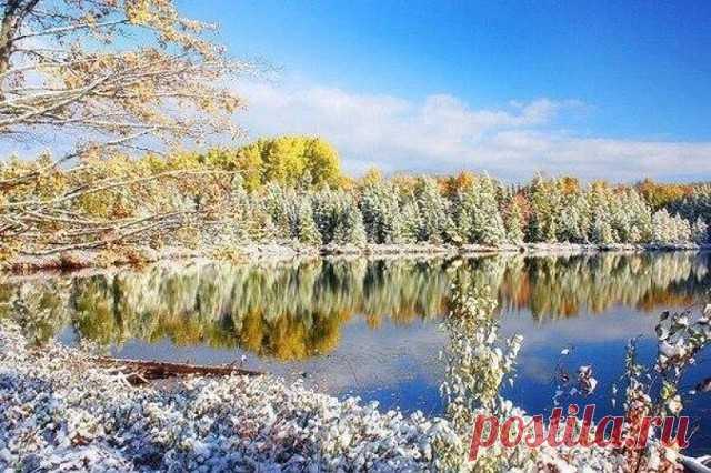 (2) Одноклассники
