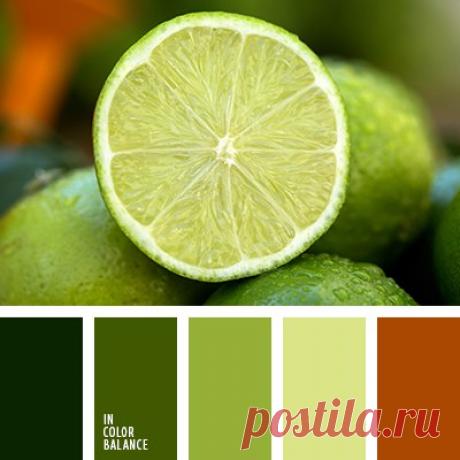 Цветовые сочетания
Контрастные тона