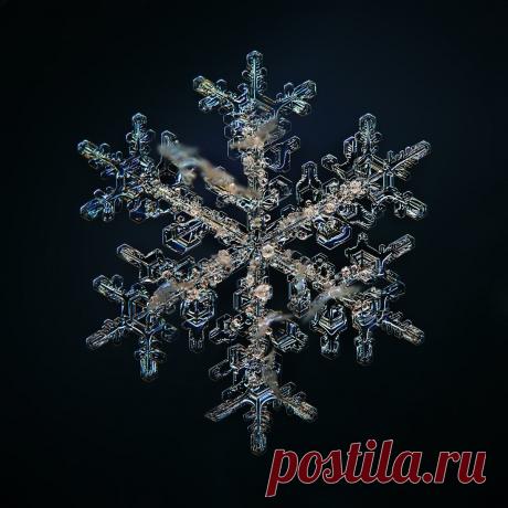 Не сразу поняла, как это снято: невероятной красоты снежинки (настоящие, сделано матушкой-природой и фотографом из Вологды) | Северяночка | Яндекс Дзен