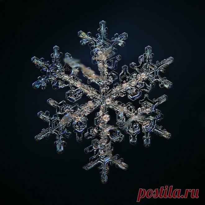 Не сразу поняла, как это снято: невероятной красоты снежинки (настоящие, сделано матушкой-природой и фотографом из Вологды) | Северяночка | Яндекс Дзен