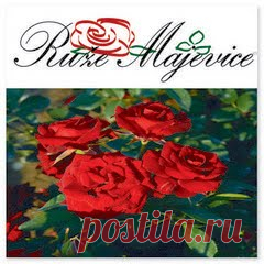 Tatjana Dimitrijevic & Ladies Community: Pletenje, heklanje: Rečnik pojmova i čitanje mustri, shema [linkovi]