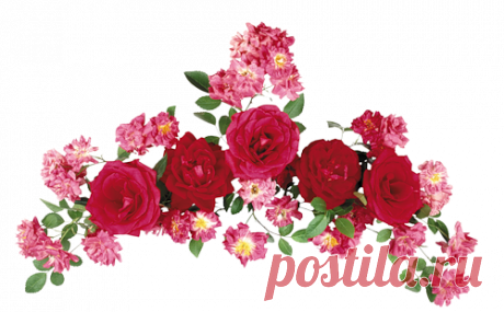 песок морской на прозрачном фоне - Поиск в Google