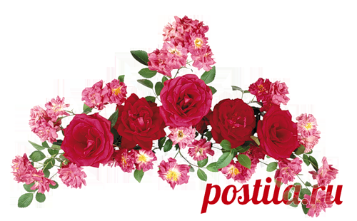 песок морской на прозрачном фоне - Поиск в Google