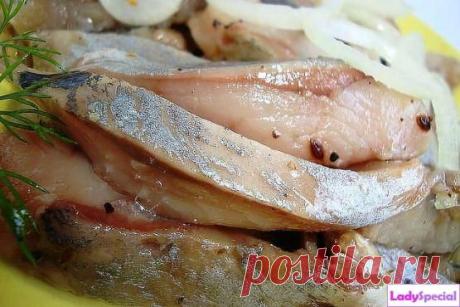 Засолка селедки в домашних условиях - Женский журнал LadySpecial.ru : специально для женщин