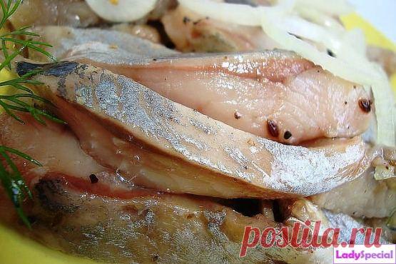 Засолка селедки в домашних условиях - Женский журнал LadySpecial.ru : специально для женщин