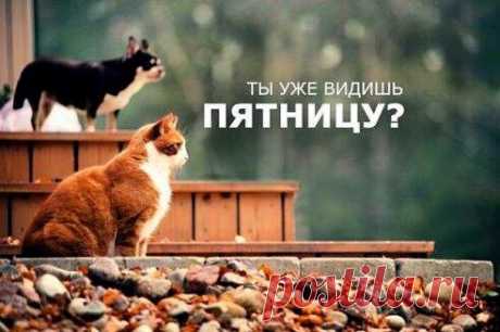 Ура пятница!!!😊