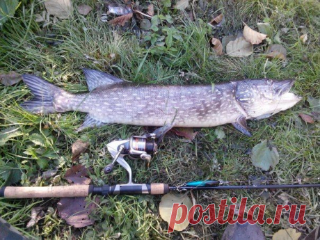 3кг 100гр / Богатая добыча