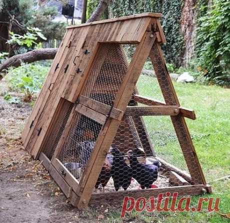 (65) Одноклассники