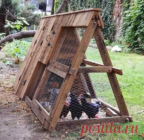 (65) Одноклассники