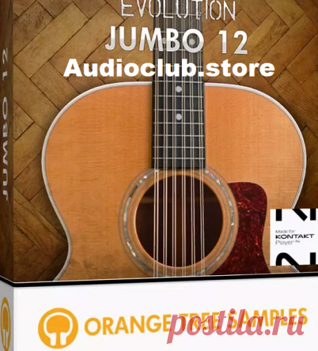 The team at Audio Club is thrilled to unveil the latest gem in their Evolution guitar series: Orange Tree Samples Evolution Jumbo 12, a game-changer in the world of 12-string acoustic guitars. Crafted with precision and passion, this library captures the soulful resonance of a Taylor 355, an instrument renowned for its rich, vibrant tones. Every strum, pluck, and harmonic nuance has been meticulously documented, delivering unparalleled sonic depth and clarity. Whether you're crafting lush sounds
