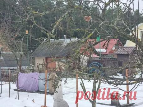 Названы 3 весенние ошибки садовода: проверьте свой участок. Как избежать весенних ловушек на даче и превратить свой сад в оазис, а не в поле боя.